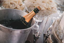 champagne